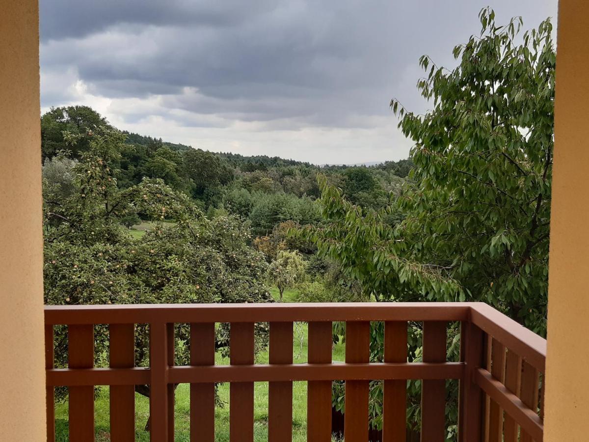 Apartmány U Zvoničky Prachov Exterior foto